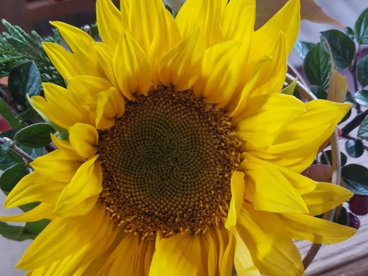 erntedank-in-st-martin-baindlkirch4902094